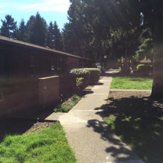 A sunlit sidewalk with a building on one side and trees in the background.