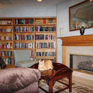 A cozy living room with a fireplace and a large bookshelf filled with books.
