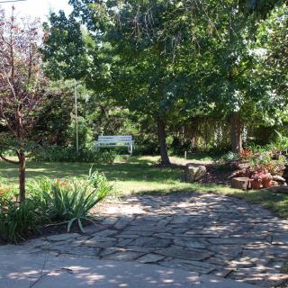 A serene garden with a stone pathway and a white bench surrounded by lush greenery.