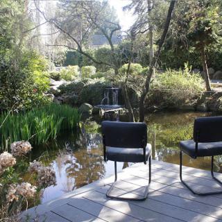 A serene garden setting with chairs overlooking a peaceful pond.