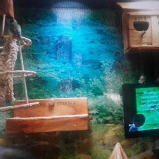 An animal enclosure featuring natural elements and educational information.