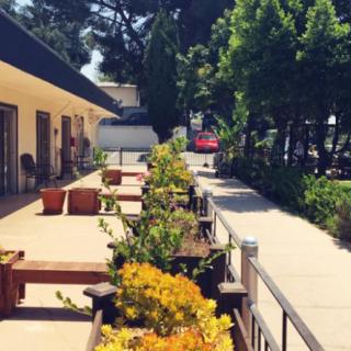 A sunny outdoor patio area with tables, chairs, and vibrant plants alongside a walkway.