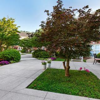 A serene garden with lush greenery, featuring trees, flowers, and a paved walkway.