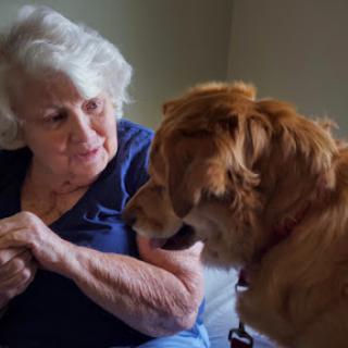 An elderly woman shares a tender moment with her golden retriever, showcasing the bond between humans and pets.