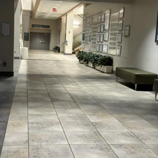 A spacious and well-lit hallway featuring modern architecture and decorative plants.