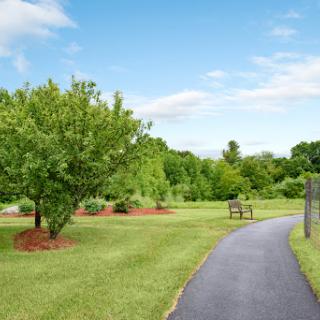 A serene park pathway surrounded by lush greenery and a tranquil atmosphere.