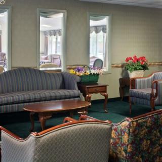 A cozy living room with sofas, armchairs, and a coffee table surrounded by decorative plants.