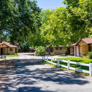 A peaceful street lined with rustic cottages and lush trees on a sunny day.