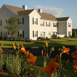 A charming residential building surrounded by a well-maintained garden with vibrant orange flowers.