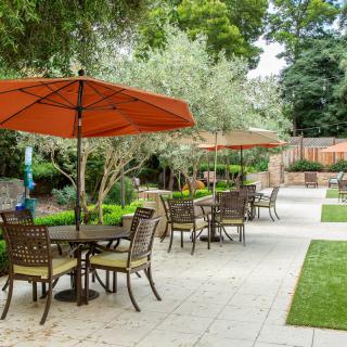 A serene garden patio with tables and umbrellas surrounded by lush greenery.