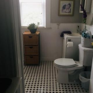 A tidy bathroom with a storage cabinet and a small plant.