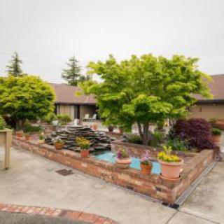 A charming courtyard with lush trees and neatly arranged potted plants, surrounded by brick walls.