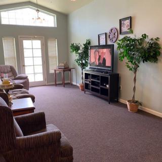 A cozy living room with sofas, a television, and decorative plants.