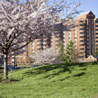 A scenic view of cherry blossom trees in front of a modern building on a bright spring day.