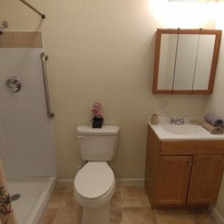 A small bathroom featuring a shower, toilet, sink with vanity, and a simple decor.