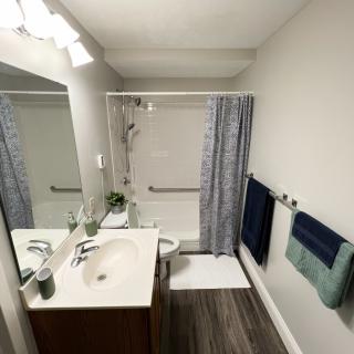 A modern bathroom with a sink, mirror, and shower.