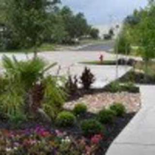 Beautifully landscaped garden alongside a sidewalk.