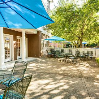 A sunny outdoor patio area with tables, chairs, and blue umbrellas amidst trees.