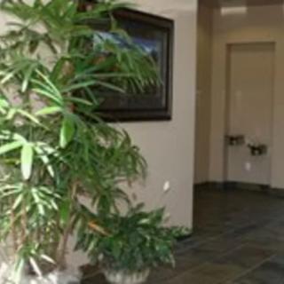 A hallway with a large indoor plant and artwork on the wall.