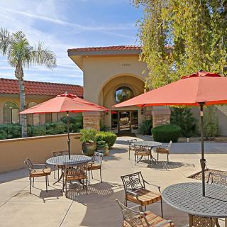 A sunny outdoor patio area with tables, chairs, and umbrellas near a building entrance surrounded by palm trees.