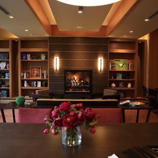 A cozy living room with a modern fireplace, surrounded by bookshelves and adorned with a vase of red flowers.