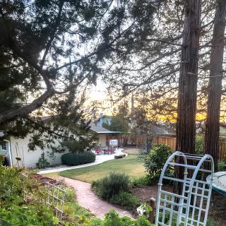 A serene garden with a winding pathway leading to a house, surrounded by tall trees at sunset.