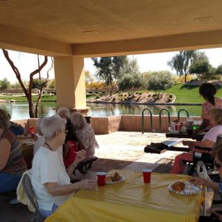 A group of seniors enjoying a picnic at a park by the lake.
