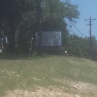 A distant view of a weathered sign amidst greenery and power lines.