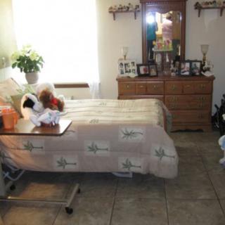 A cozy bedroom with a hospital bed, dresser, and decorative items.