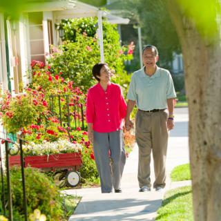 An elderly couple enjoys a walk on a sunny day, surrounded by blooming gardens.