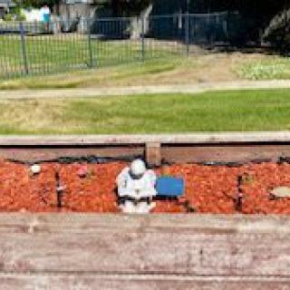 A small garden statue is placed against a wooden border with red mulch, in front of a grassy area and fence.