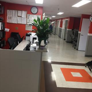 A view of a reception area in an office, featuring a plant and a hallway leading deeper into the workspace.