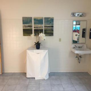 A clean and simple bathroom with a sink, mirror, decorative plant, and artwork on the wall.