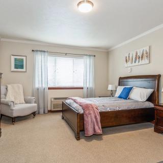 A cozy and well-furnished bedroom with a large bed, an armchair, and bright natural light from the window.