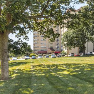 A scenic view of a grassy area with trees and parked cars, with a multi-story building in the background.