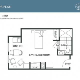 A floor plan of a studio apartment featuring a combined living and bedroom area, kitchen, bathroom, closet space, and entryway.