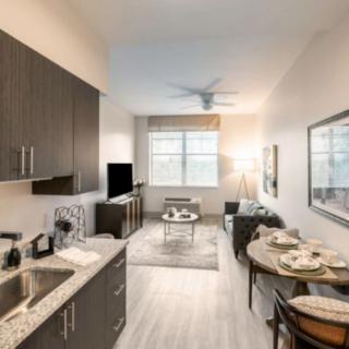 A modern apartment featuring an open-concept kitchen and living area with sleek furnishings and contemporary decor.