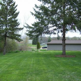 A serene outdoor scene featuring a grassy lawn with trees and a garage in the background.