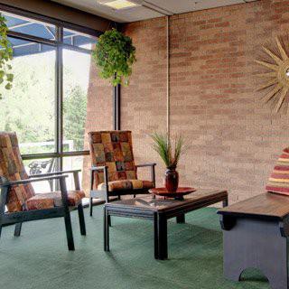 A cozy living room space with chairs, a coffee table, and hanging plants facing large windows.