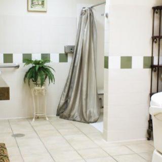 A well-designed bathroom with a shower area, decorative tiles, and a plant.