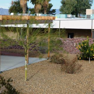 A serene modern garden with gravel landscaping and palm trees, showcasing contemporary architectural design.