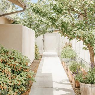A serene garden pathway lined with lush greenery and trees.