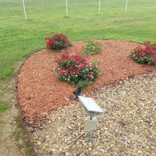 A beautifully landscaped garden featuring blooming flowers and mulch.