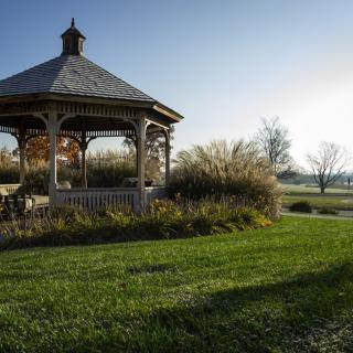 A sunny park scene featuring a gazebo surrounded by lush greenery.