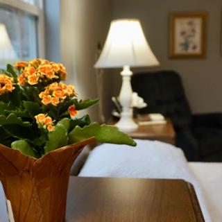 A cozy living area featuring a vibrant flower pot and a warm lamp, creating an inviting ambiance.