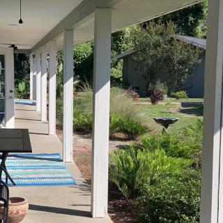 A view of a porch with white columns overlooking a garden.