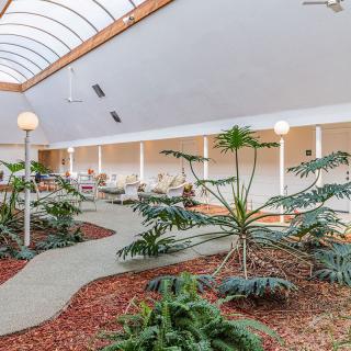 A modern indoor garden with a walkway and seating area, illuminated by natural light through the skylight.