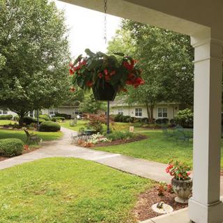 A peaceful garden view with a hanging planter and a winding pathway.