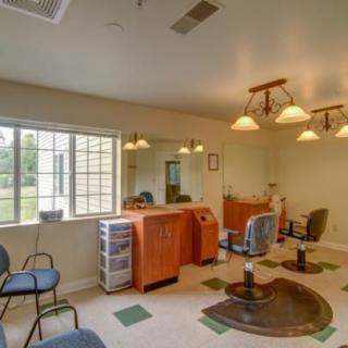 A cozy salon interior featuring styling chairs, mirrors, and ample natural light.