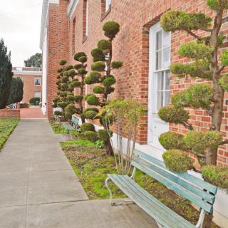 A walkway beside a brick building features uniquely shaped topiary plants and a green bench.
